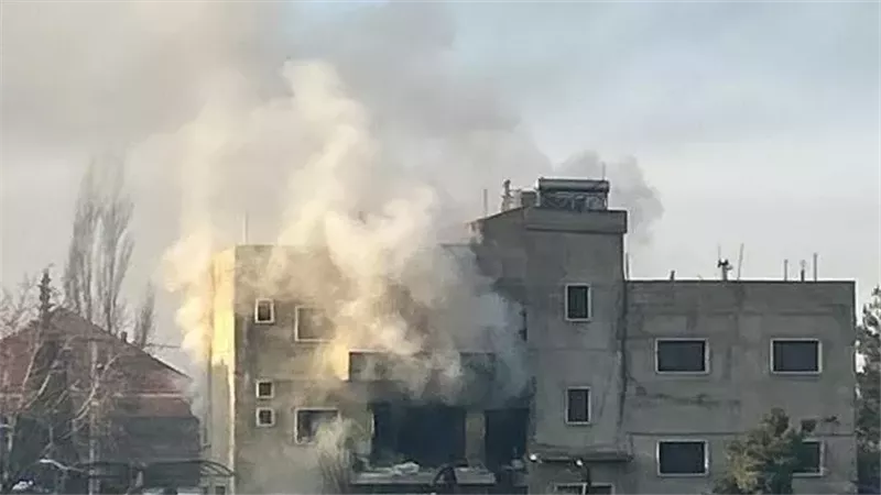 بيروت، فيتو 