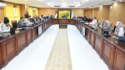 تحديث المخطط الاستراتيجي العام لمدينة الفيوم