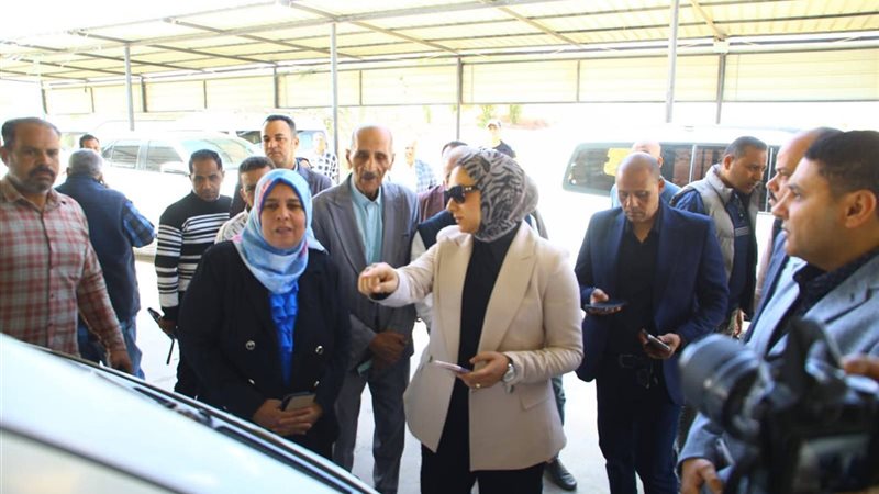 محافظ الوادى الجديد