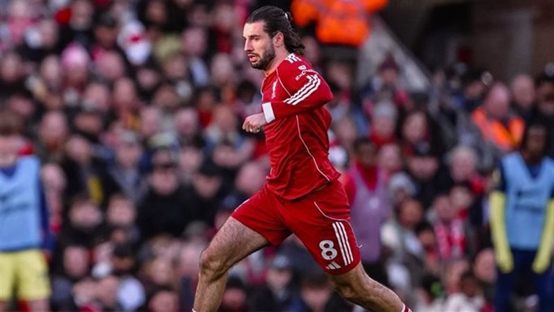 ليفربول وتوتنهام