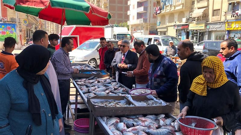 معارض واسواق الدقهلية،
