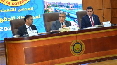 أبرز 8 ملفات أمام المجلس التنفيذي لمحافظة الدقهلية 