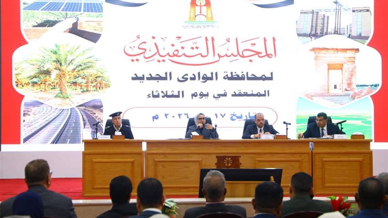 المجلس التنفيذي للوادي