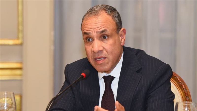 بدر عبد العاطي وزير