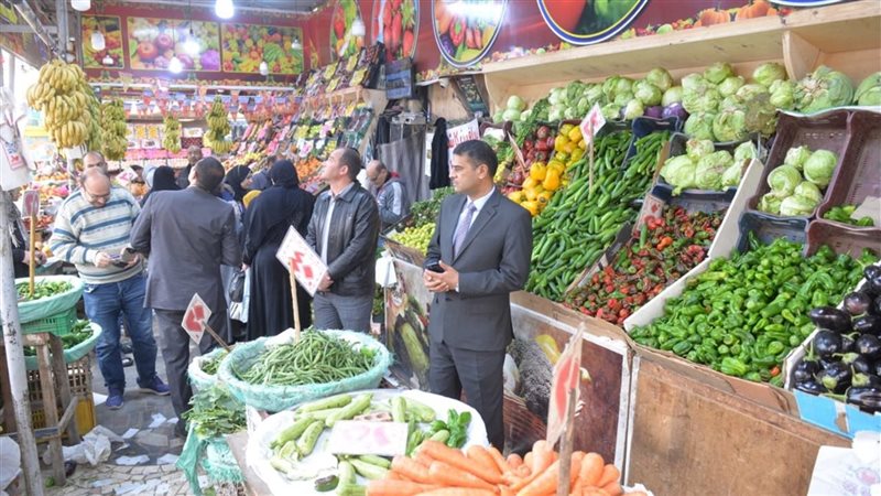 جولة نائب محافظ الدقهلية،