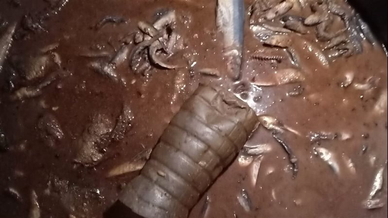 ضبط أسماك مملحة غير