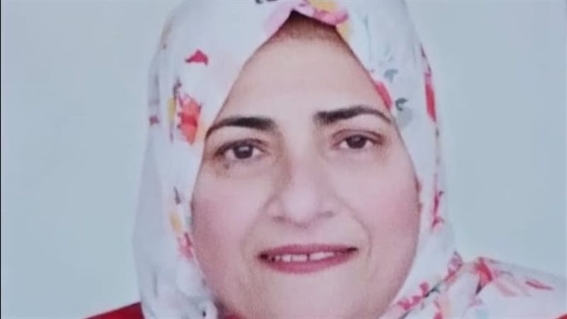 الأم المثالية على