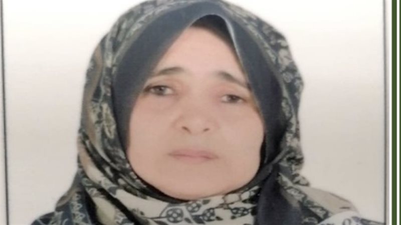 الأم المثالية 