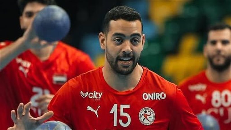 أحمد هشام دودو، فيتو