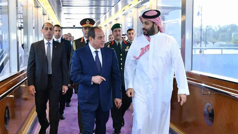 الرئيس السيسي وولى