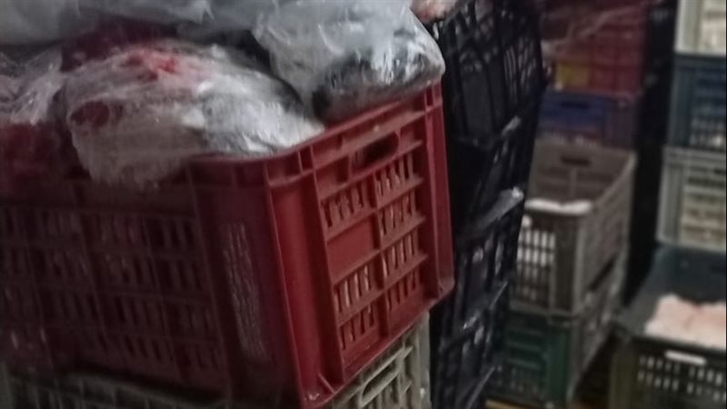 ضبط طن لحوم دواجن