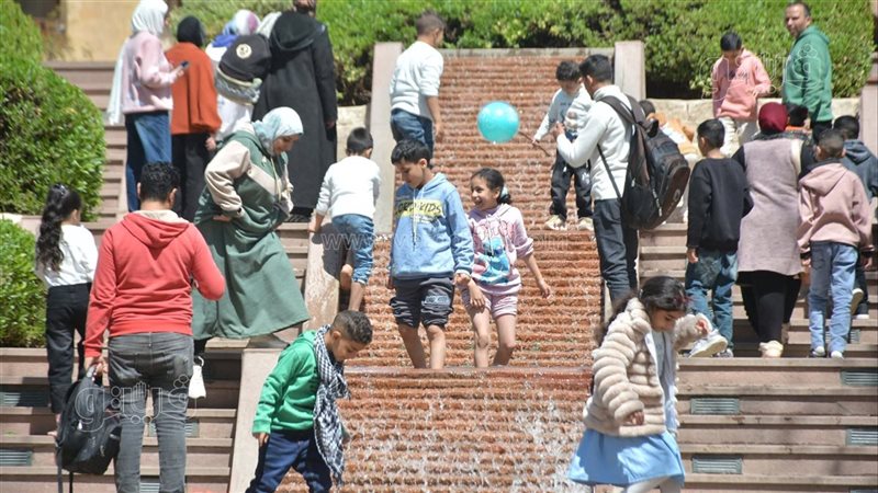 حديقة الأزهر، فيتو