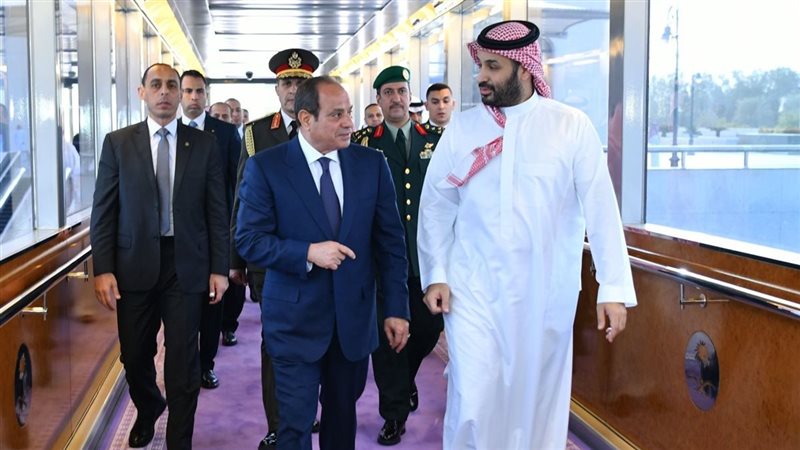 الرئيس السيسي وولي