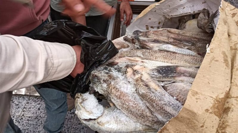 ضبط 14 طن فسيخ ورنجة