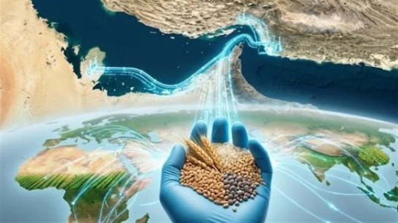 ارتفاع أسعار الغذاء