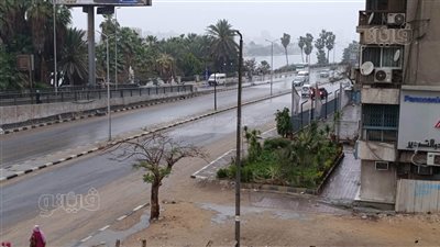 أمطار غزيرة تضرب القاهرة والجيزة مصحوبة بنشاط للرياح (صور)