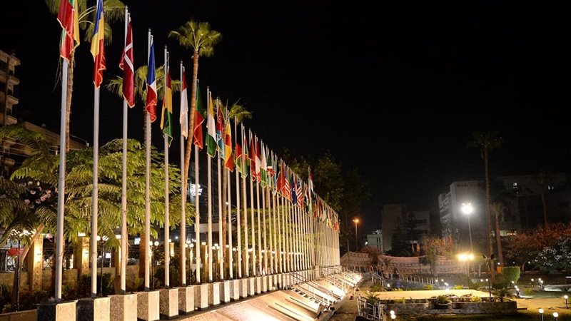 جامعة المنصورة، فيتو