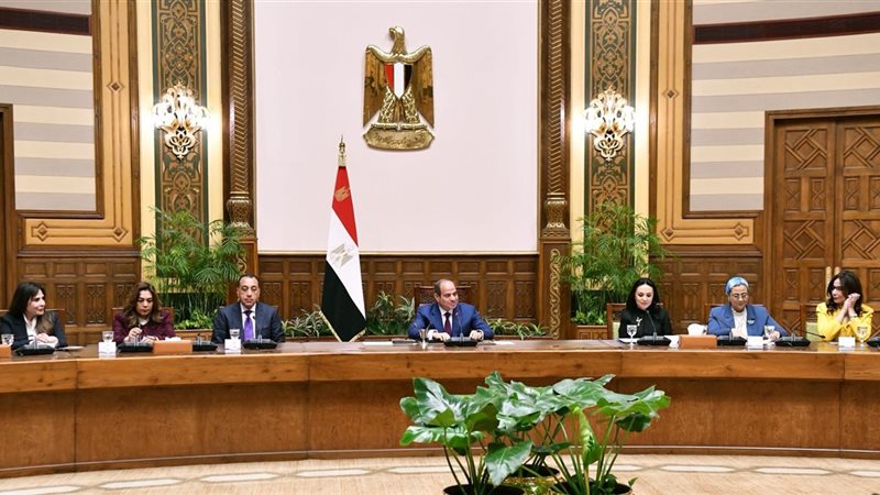لقاء الرئيس السيسي