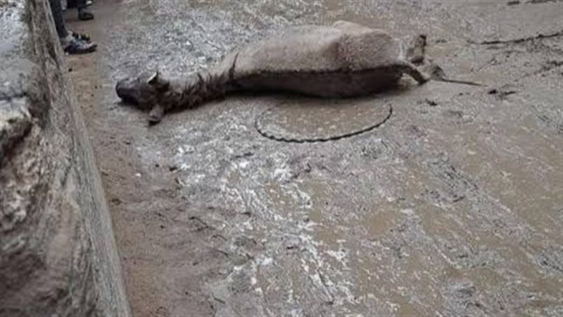 نفق بسبب ماس كهربائي،