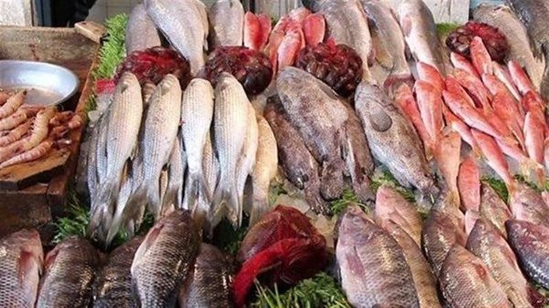 سعر السمك اليوم،