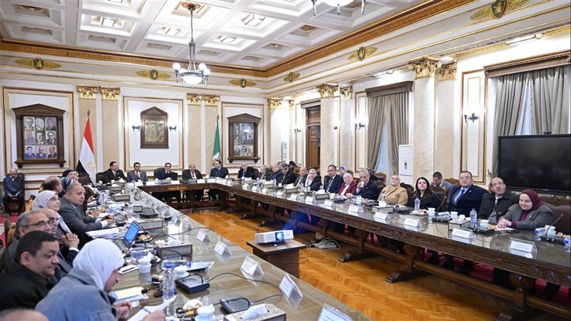 مجلس جامعة القاهرة