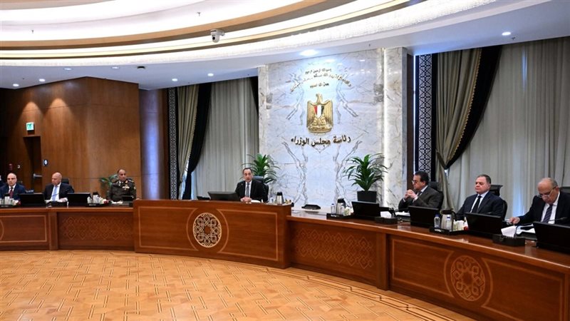 مجلس الوزراء، فيتو