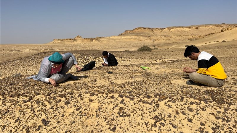 كشف بحثي جديد بجامعة