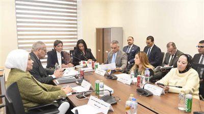 القومي لذوي الإعاقة: لا مساس بحقوق الأشخاص ذوي الهمم.. ونعمل على حوكمة الدعم