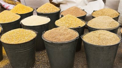 ارتفاع الصويا والذرة والردة، أسعار الأعلاف والحبوب اليوم في الأسواق