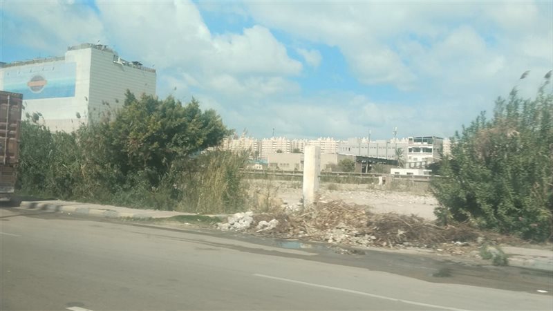 سطوع الشمس واستقرار