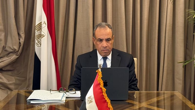 نبيل فهمي وزير الخارجية