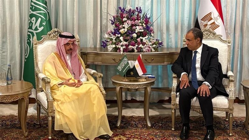 وزير الخارجية ونظيره