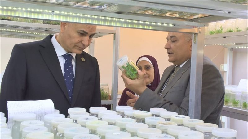 رئيس جامعة مدينة