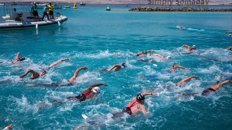 كأس العالم للسباحة