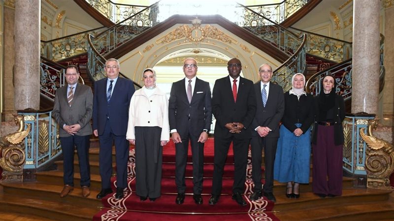 جامعة عين شمس 