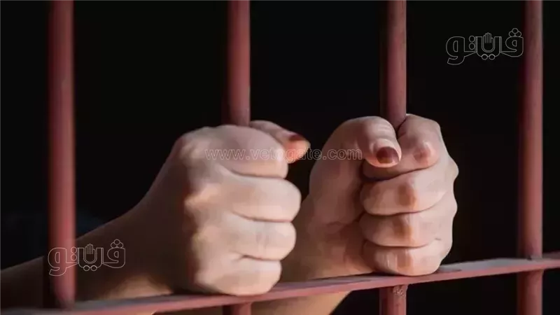 حبس فيتو