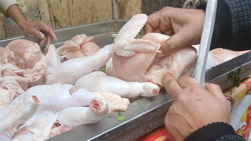 ضبط كميات من الدواجن