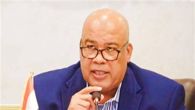 عضو الاتحاد العربي للحديد يؤكد أهمية تعزيز التصدير المصري في ظل التطورات الإقليمية