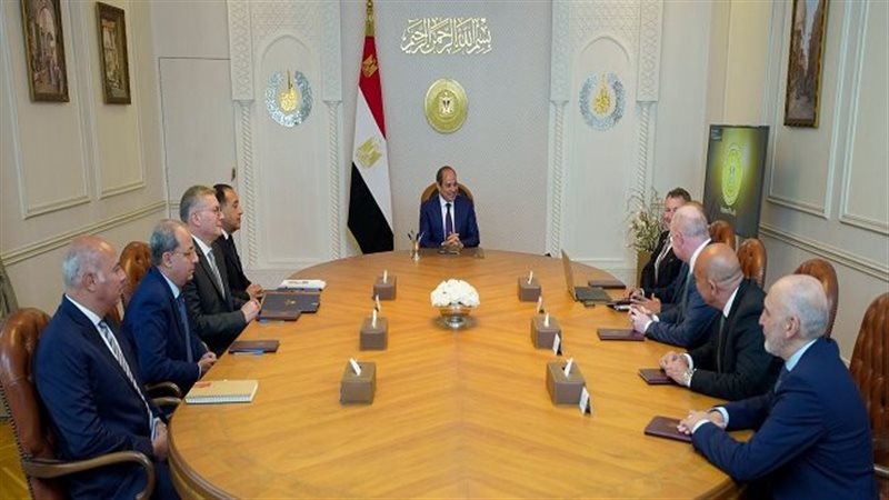 لقاء السيسي ونائب