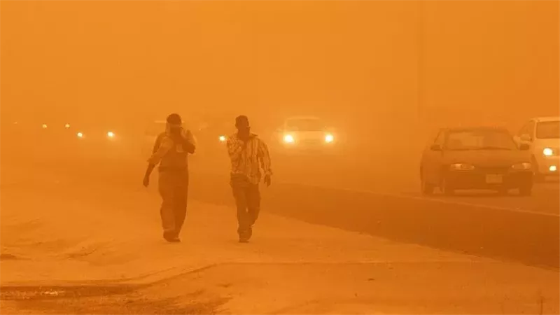 عاصفة ترابية، فيتو