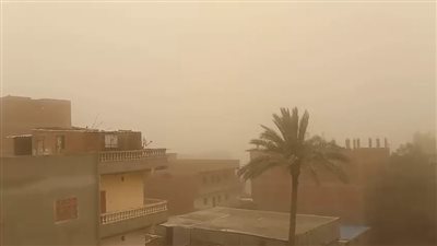 رياح محملة بالأتربة تضرب أرجاء محافظة الدقهلية (صور)