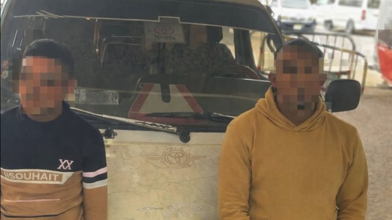 السائق والتباع، فيتو
