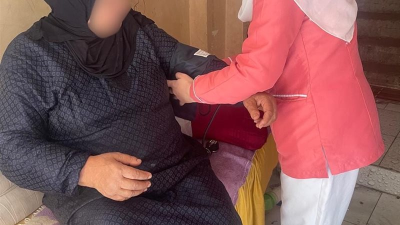صحة الدقهلية، فيتو