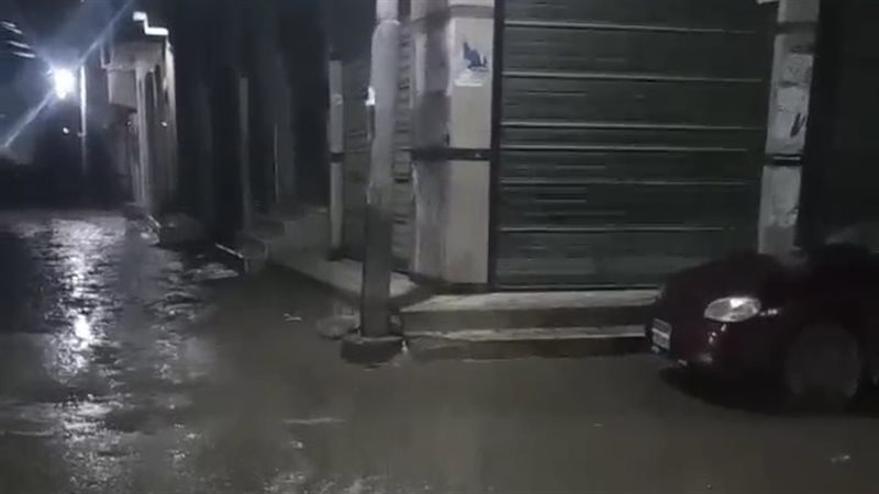 الطقس، فيتو