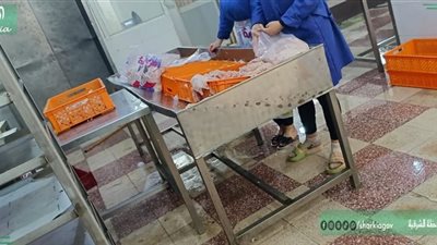 ضبط 2 طن دواجن مذبوحة خارج المجازر المرخصة بالشرقية 