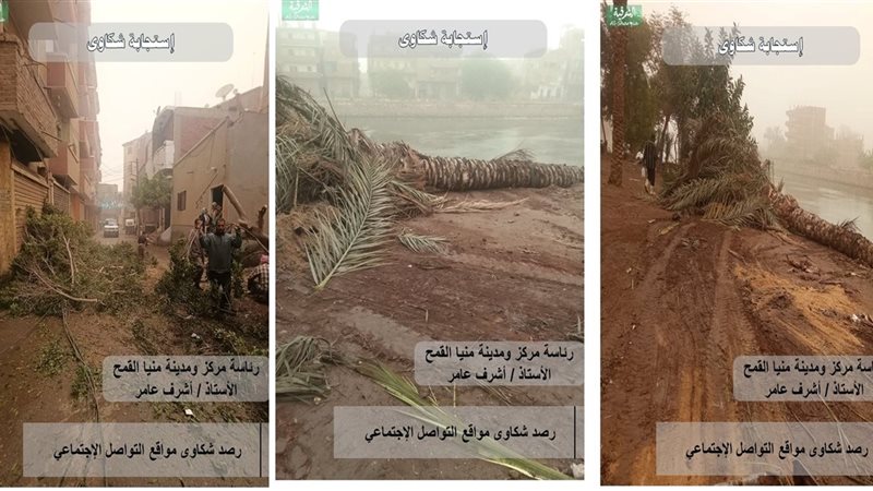  محافظ الشرقية سرعة