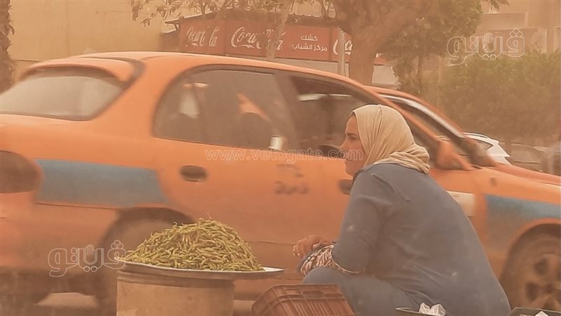 بائعة التوت تتواجد
