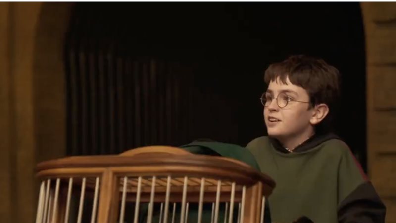 HARRY POTTER، فيتو