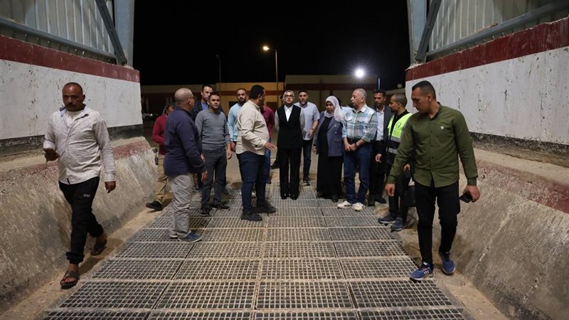 صوامع الوادي الجديد،