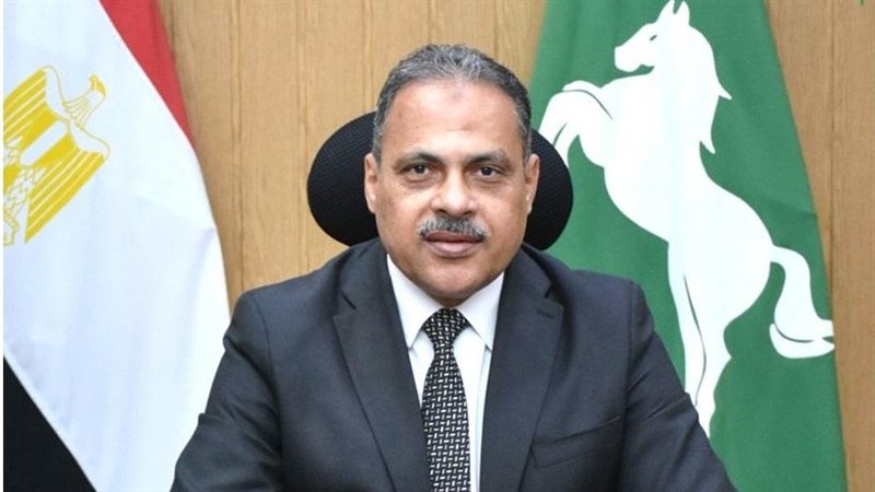  محافظ الشرقية